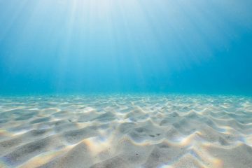 Los mejores sitios de buceo 58
