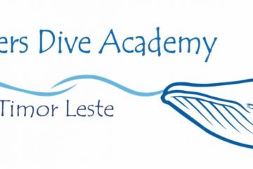 Dreamers Dive Academy 6
