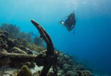 Can you scuba dive after a stroke