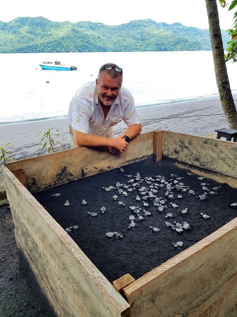Green turtle hatchlings released into Lembeh Straits 1 Steve Coverdale and turtles