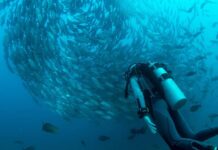 Is it safe to scuba dive with dyspraxia?