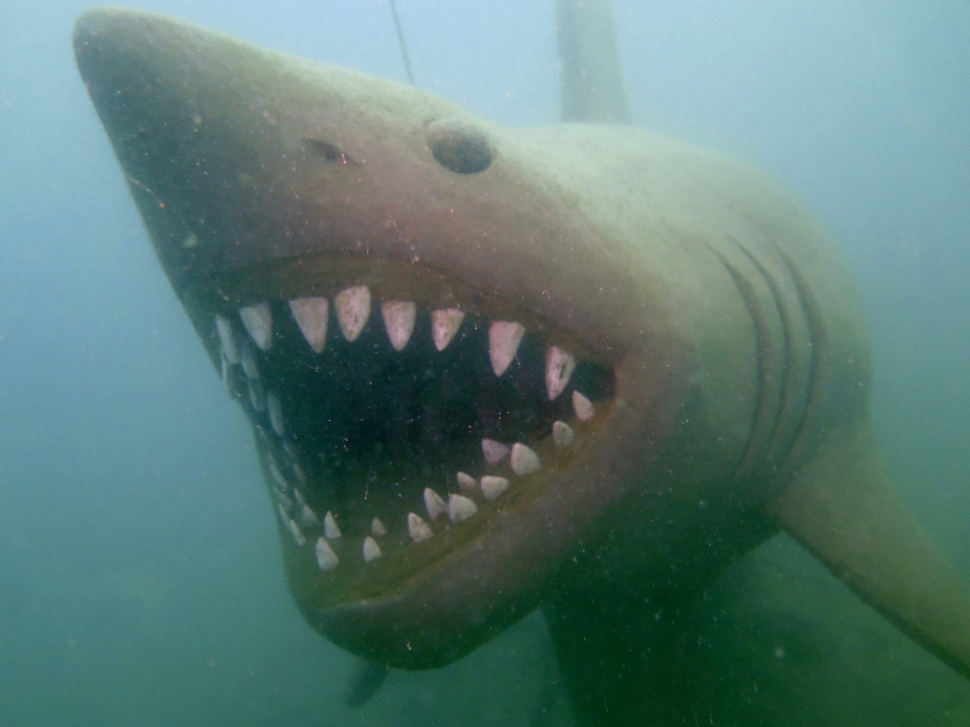 Underwater Curiosity Park
