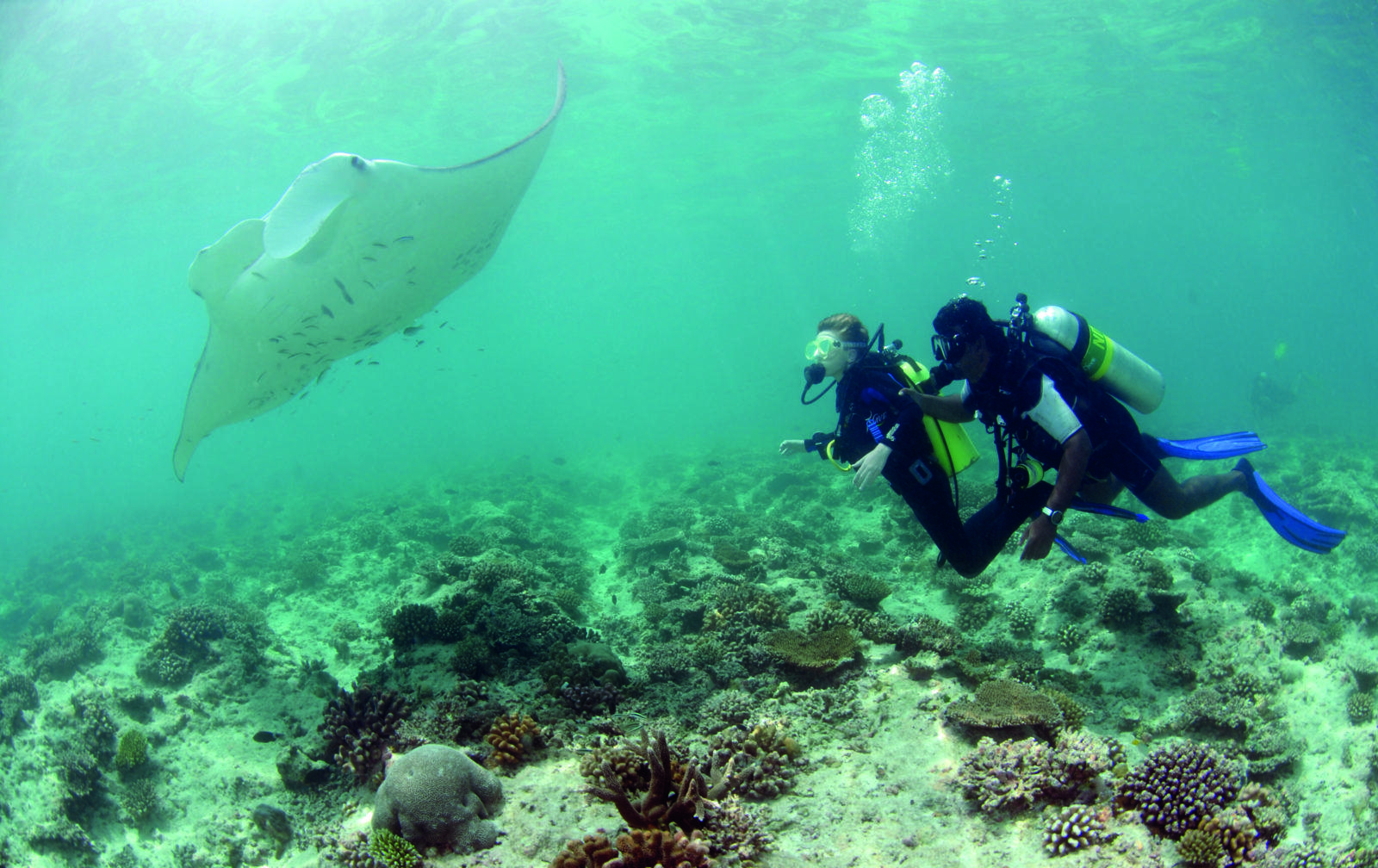 Manta at Rasfari by Jeremy Cuff