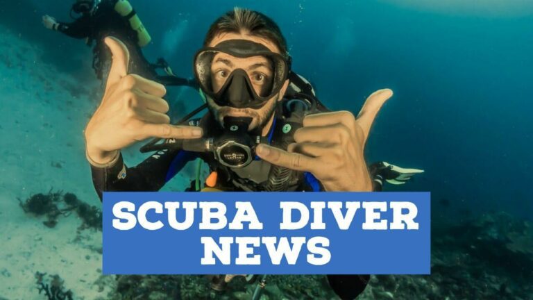 scuba diver news