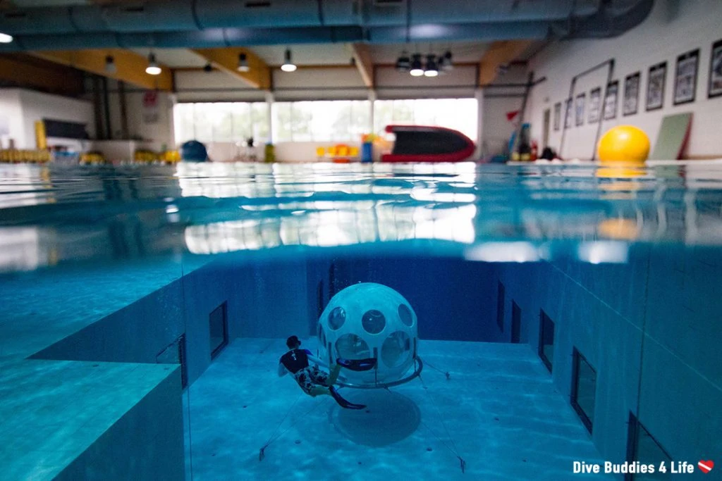 Underwater Photographer of the Week: Ali Postma 9 Underwater photographer of the week Ali Postma