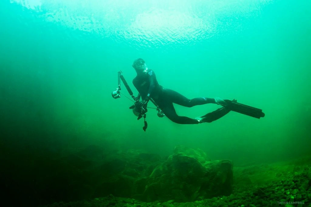 Underwater Photographer of the Week: April Bencze
