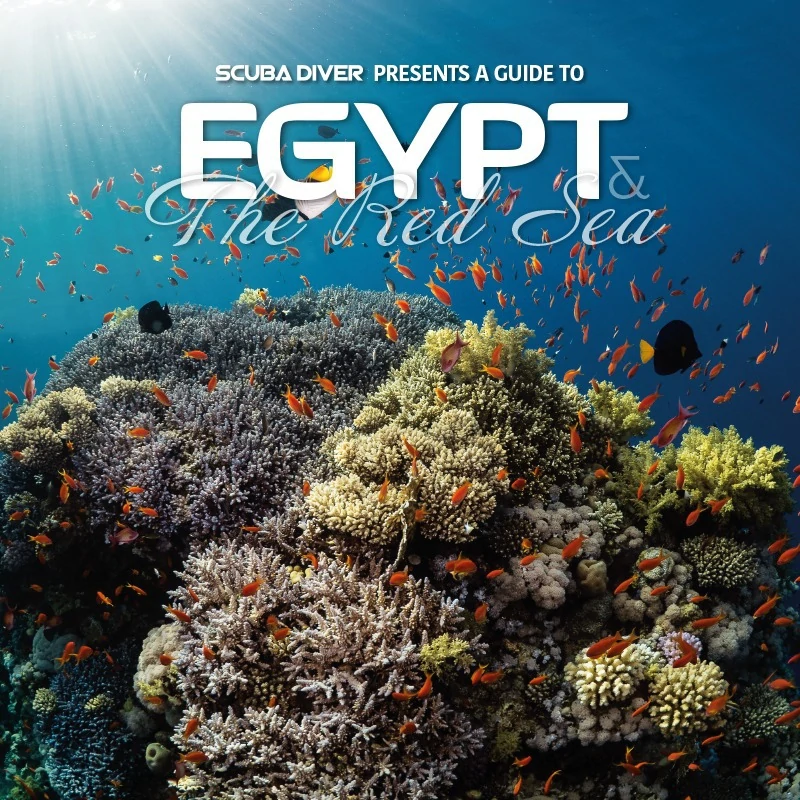 Scuba diver presents a guide to Egypt and the Red Sea