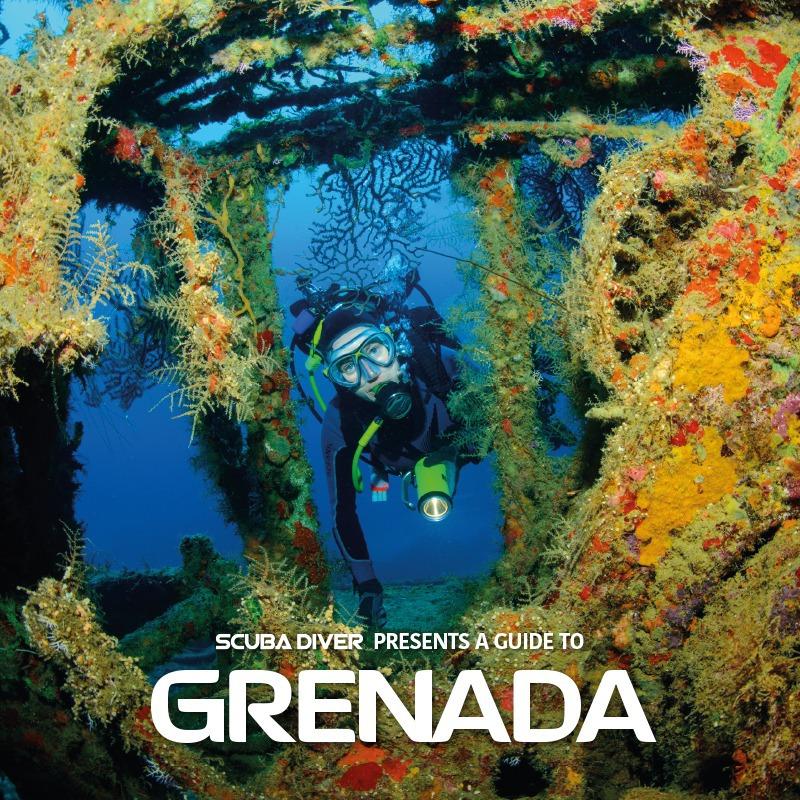 Scuba diver presents a guide to Grenada