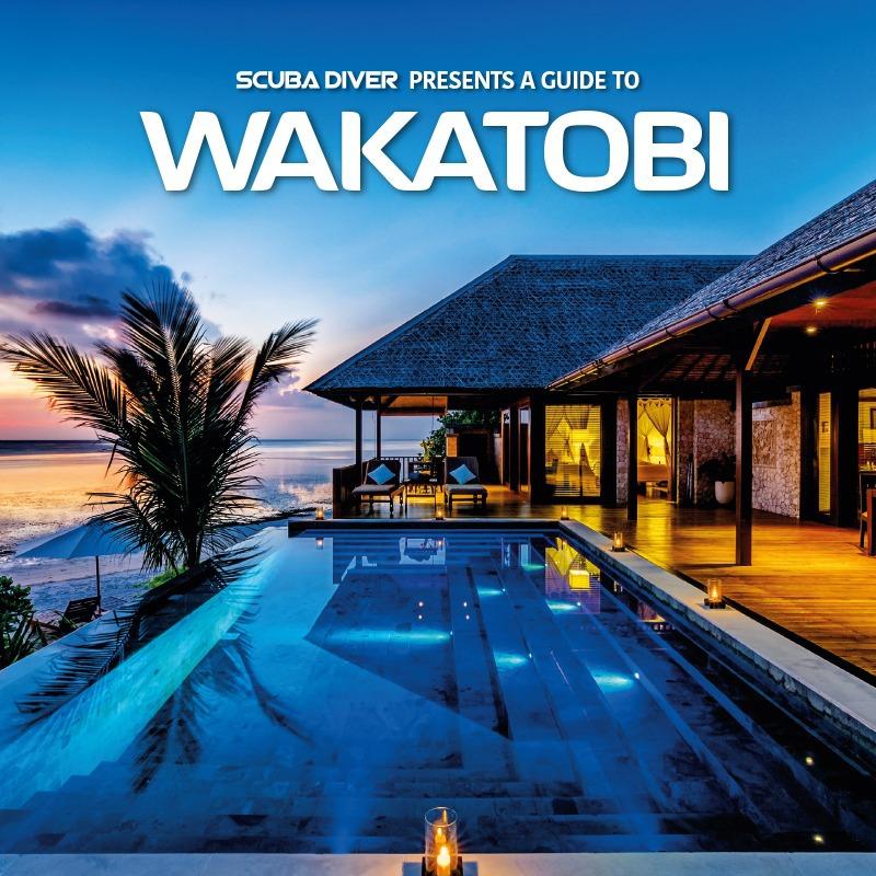 Scuba diver presents a guide to Wakatobi