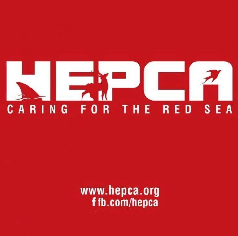 HEPCA - single-use plastics