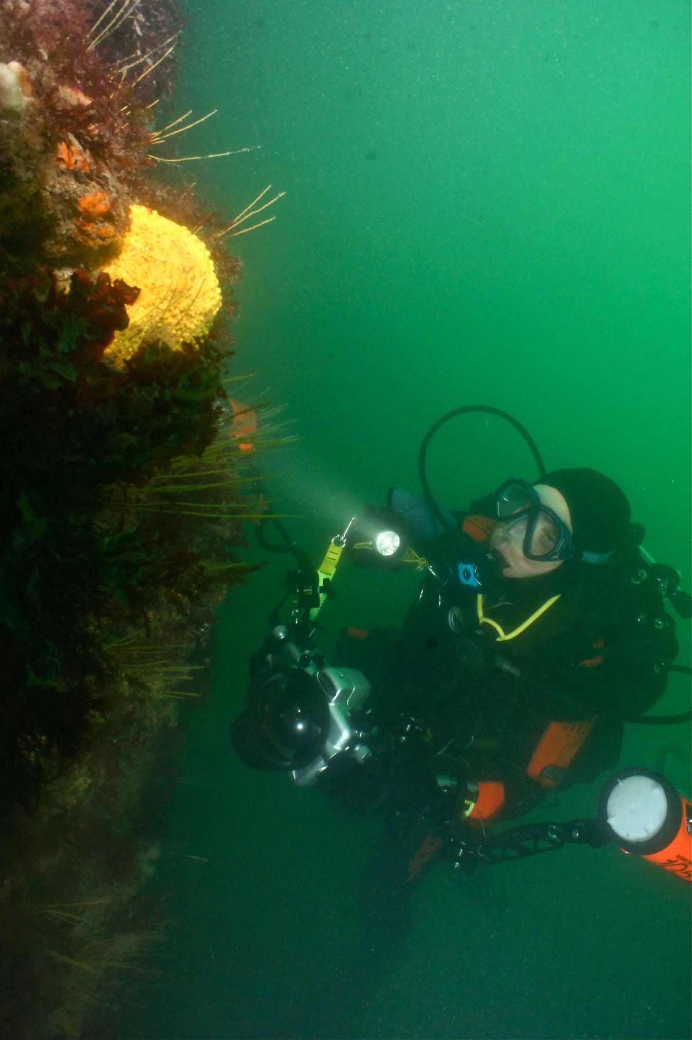 Anglesey Divers in Holyhead 2