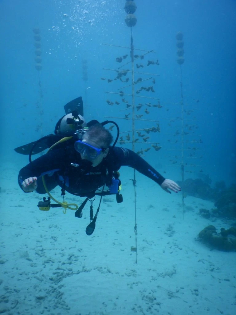 Debra Lilley diving at a coral nursery in Bonaire.