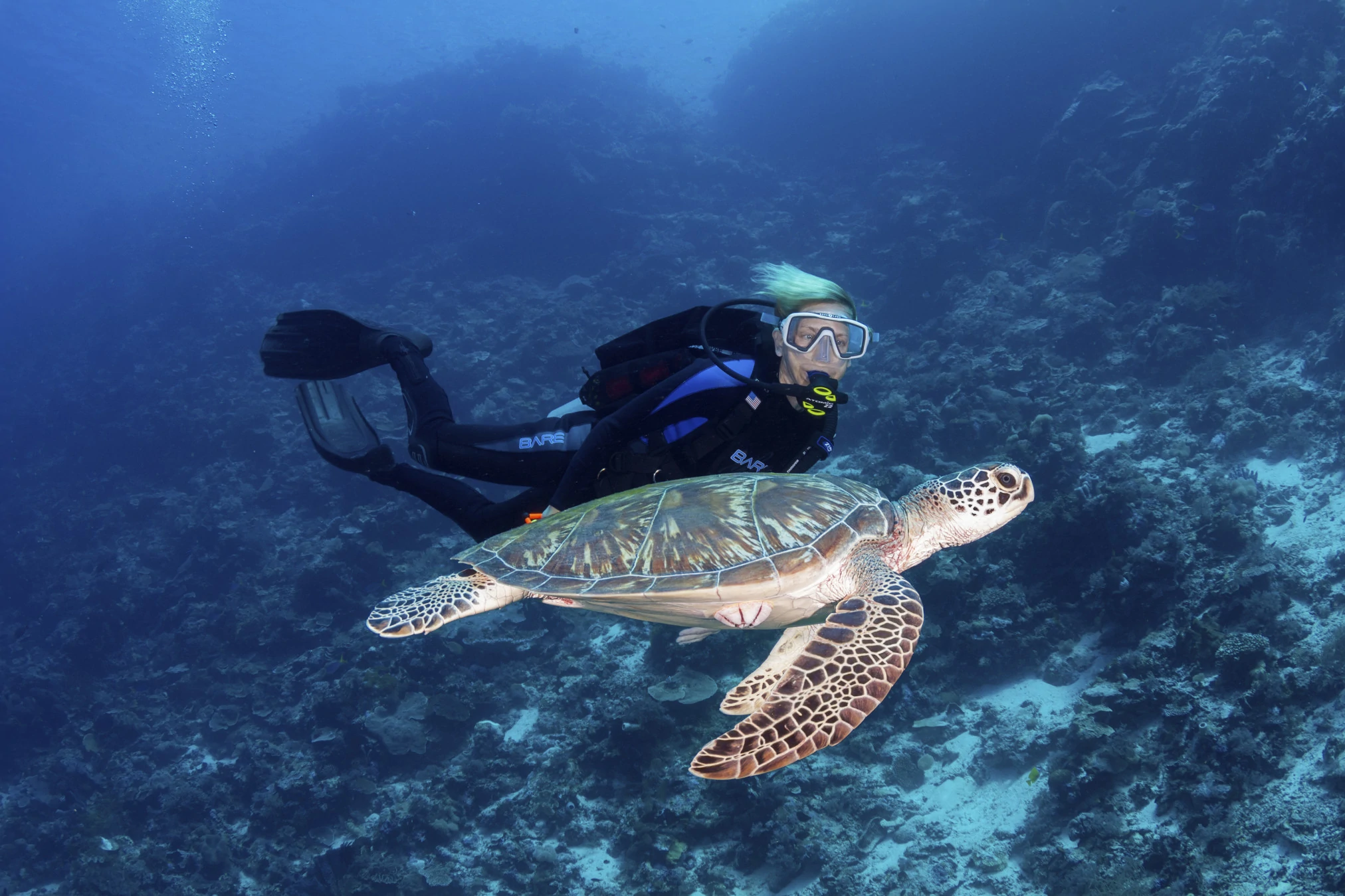 Wakatobi Resort diver and turtle