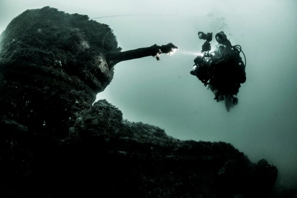 Underwater Photographer of the Week Paul Pettitt