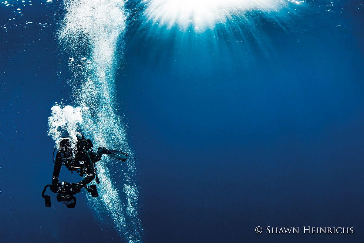 Q&A with Shark & Man filmmaker David Diley 6 Azores Photo By Shawn Heinrichs