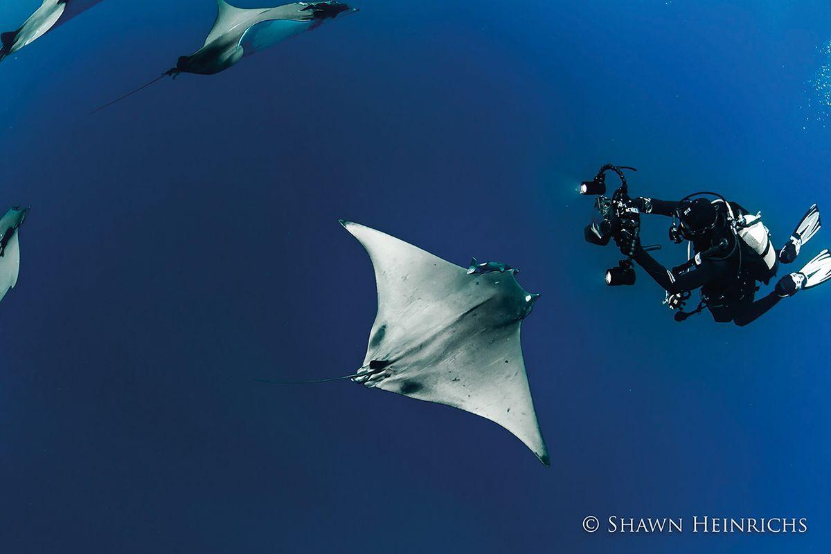 Q&A with Shark & Man filmmaker David Diley 5 Azores Photo By Shawn Heinrichs