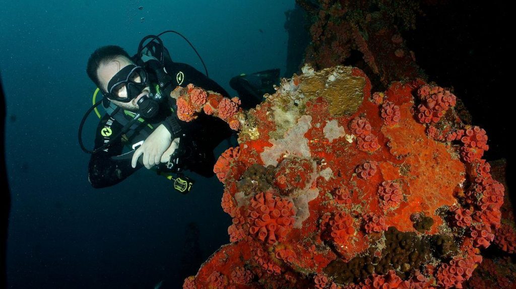 Top 10 Grenada wrecks 7 grenada wrecks 7
