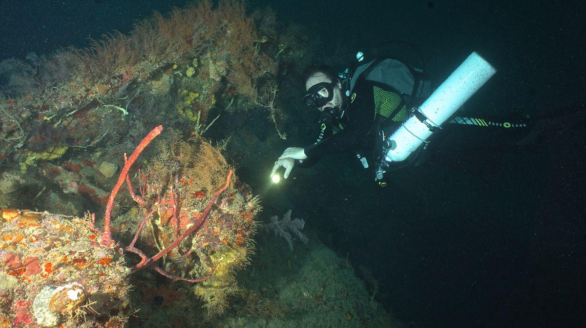 grenada shipwrecks 1