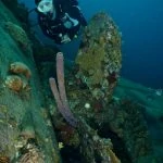 Diving Bonaire 7