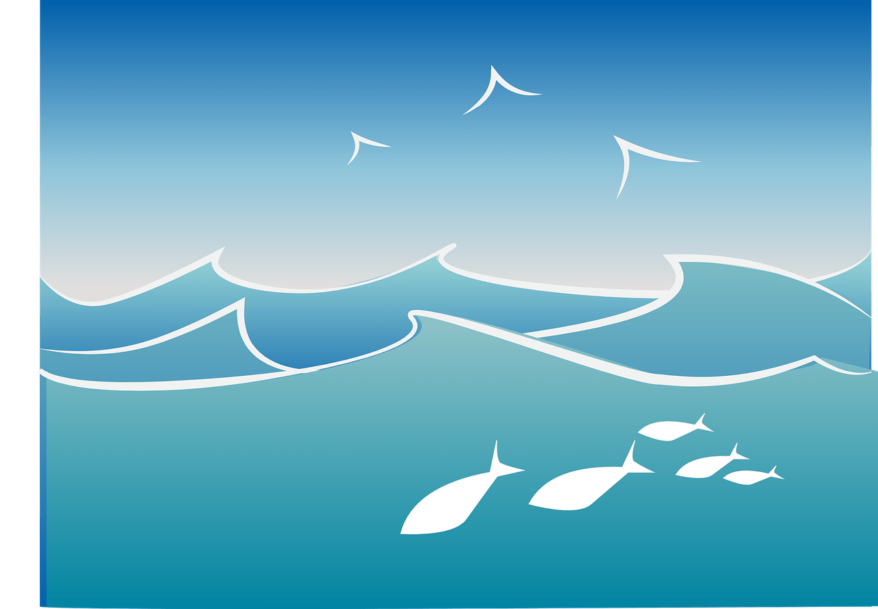 Ocean