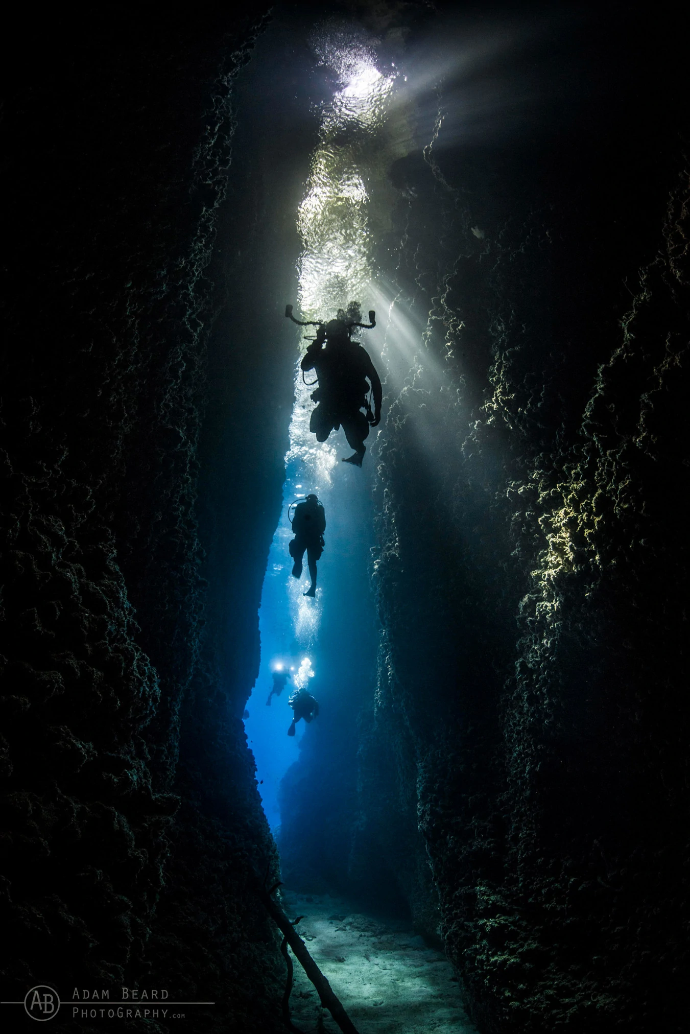 10 Underwater Photos by Adam Beard 2 Underwater Photographer of the Week Adam Beard