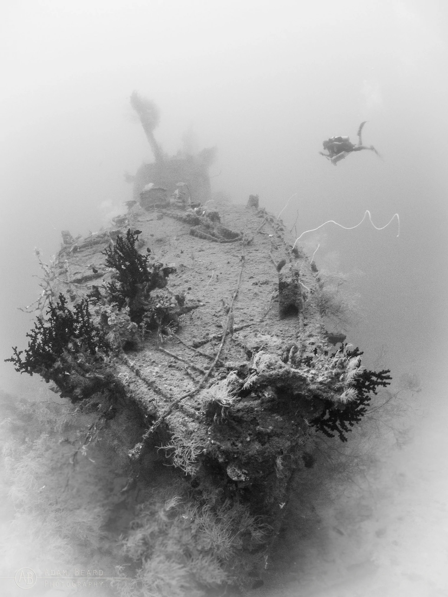 10 Underwater Photos by Adam Beard 3 Underwater Photographer of the Week Adam Beard