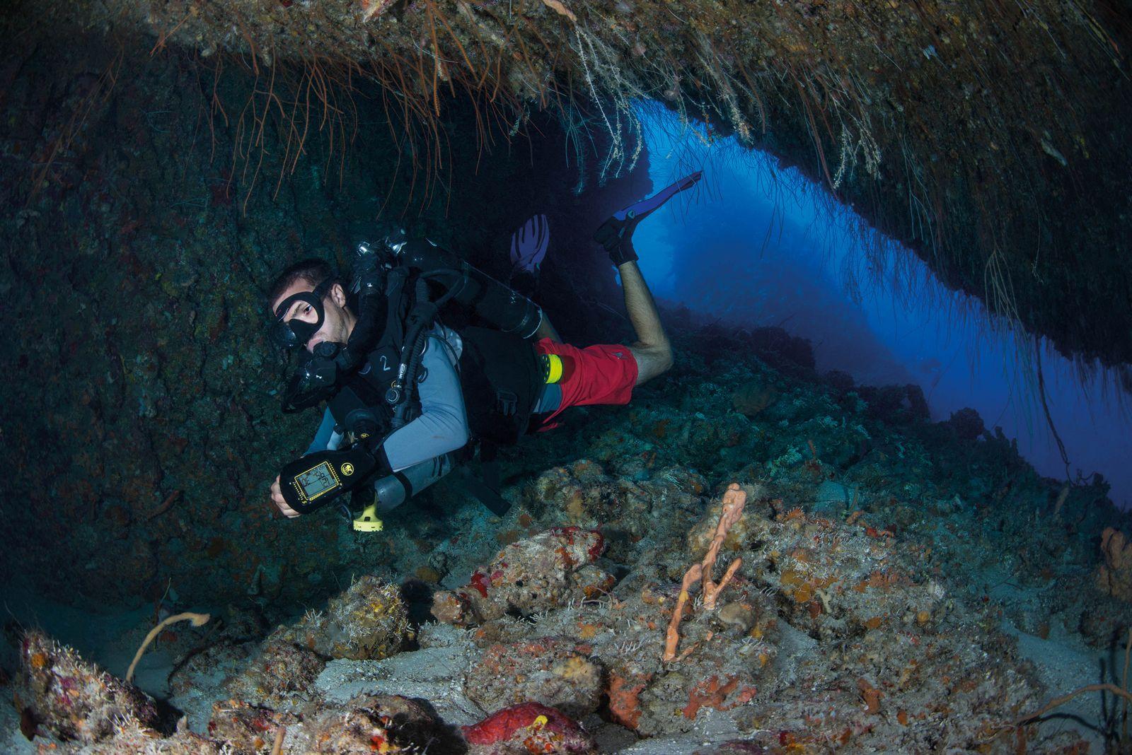 utila dive center 6