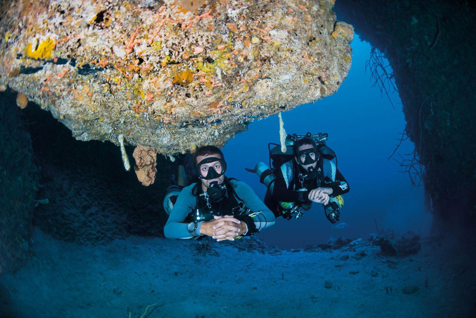 utila dive center 4