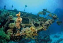Red Sea Diving Destinations