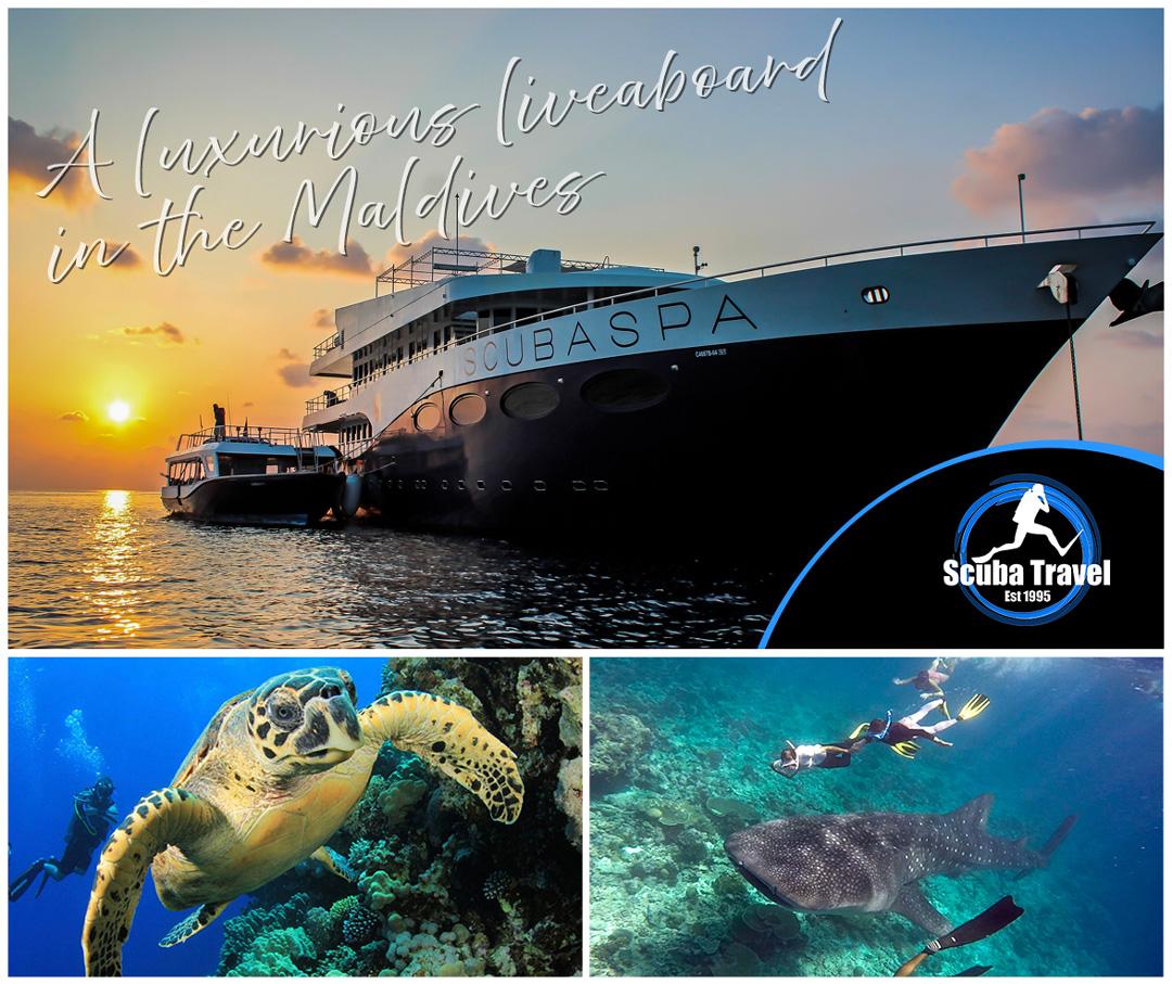 Scuba Travel, Best of Maldives, Indian Ocean, Maldives, Scuba Spa, Liveaboard