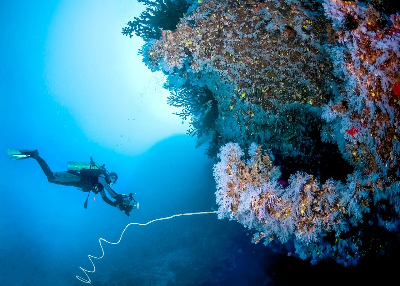 Best Dive Sites of the South Pacific 6