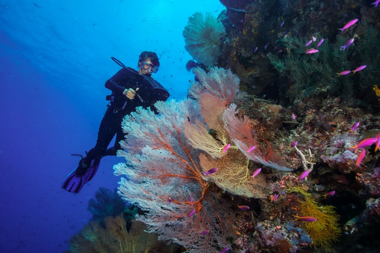 Best Dive Sites of the South Pacific 4