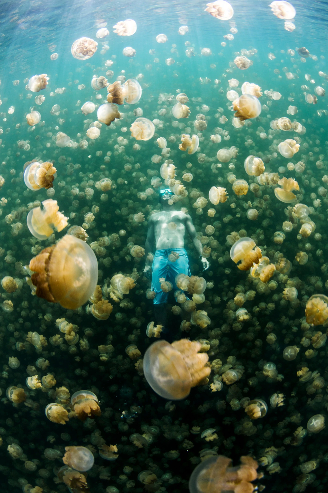 10 Underwater Freediving Pictures by Lia Barrett 3 lia barrett 3