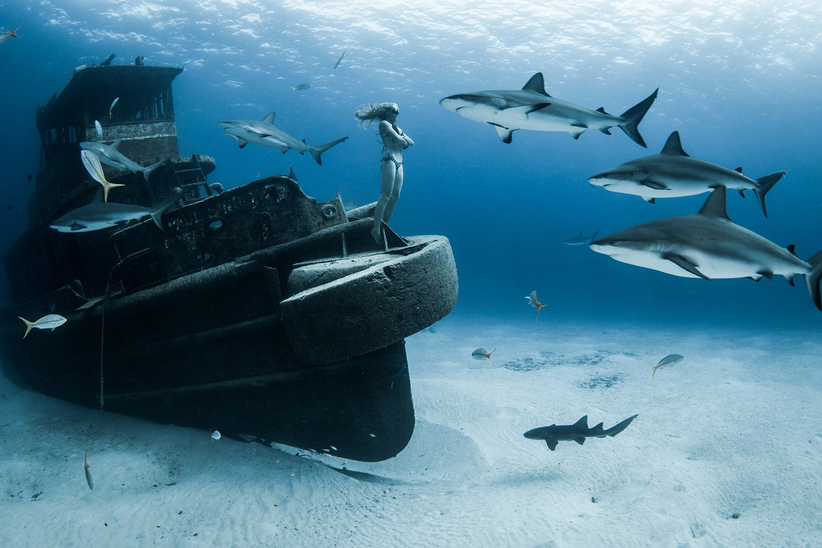 10 Underwater Freediving Pictures by Lia Barrett 6 lia barrett 6