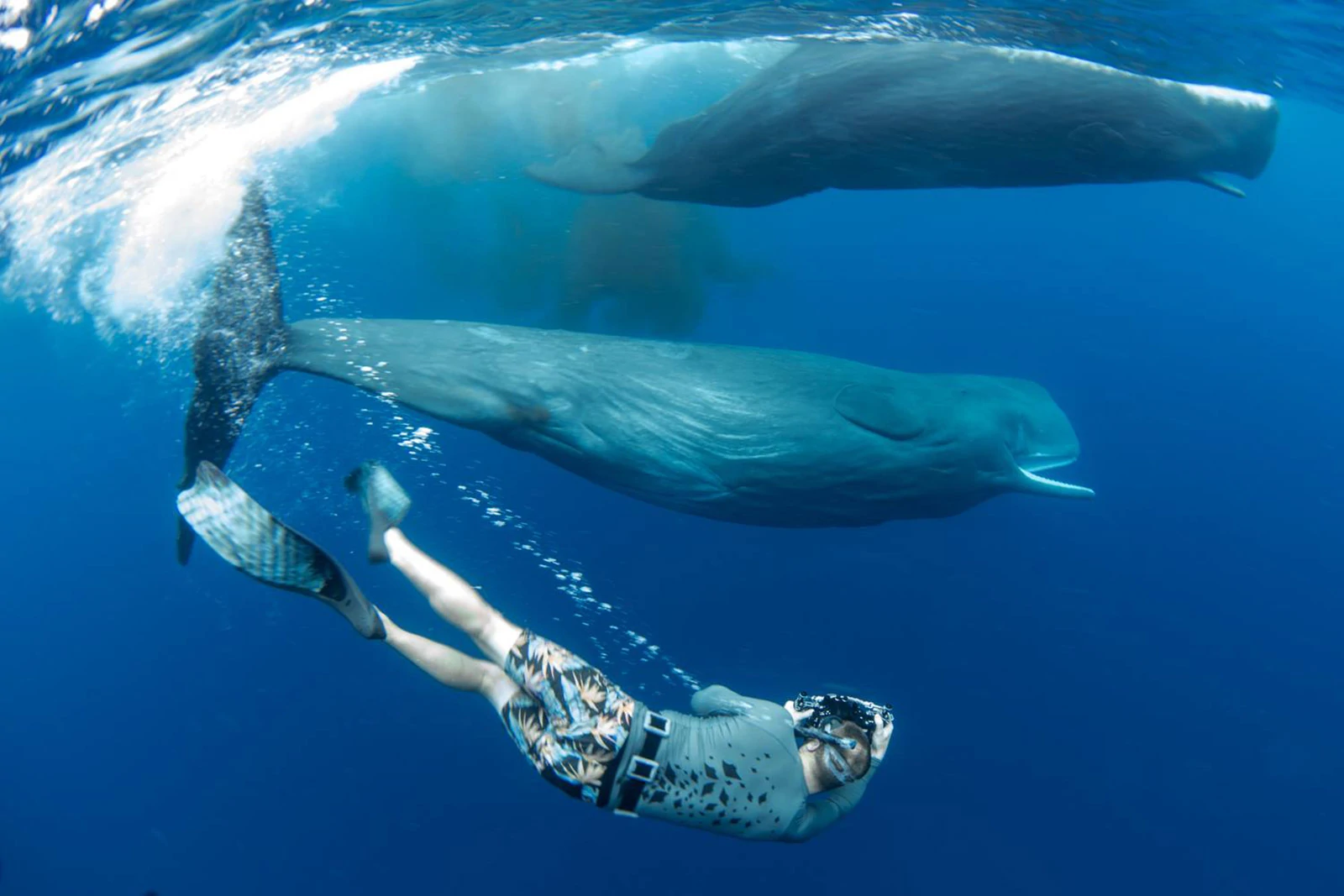 10 Underwater Freediving Pictures by Lia Barrett 2 lia barrett 2