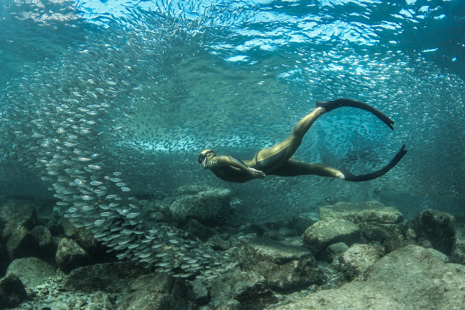 10 Underwater Freediving Pictures by Lia Barrett 4 lia barrett 4