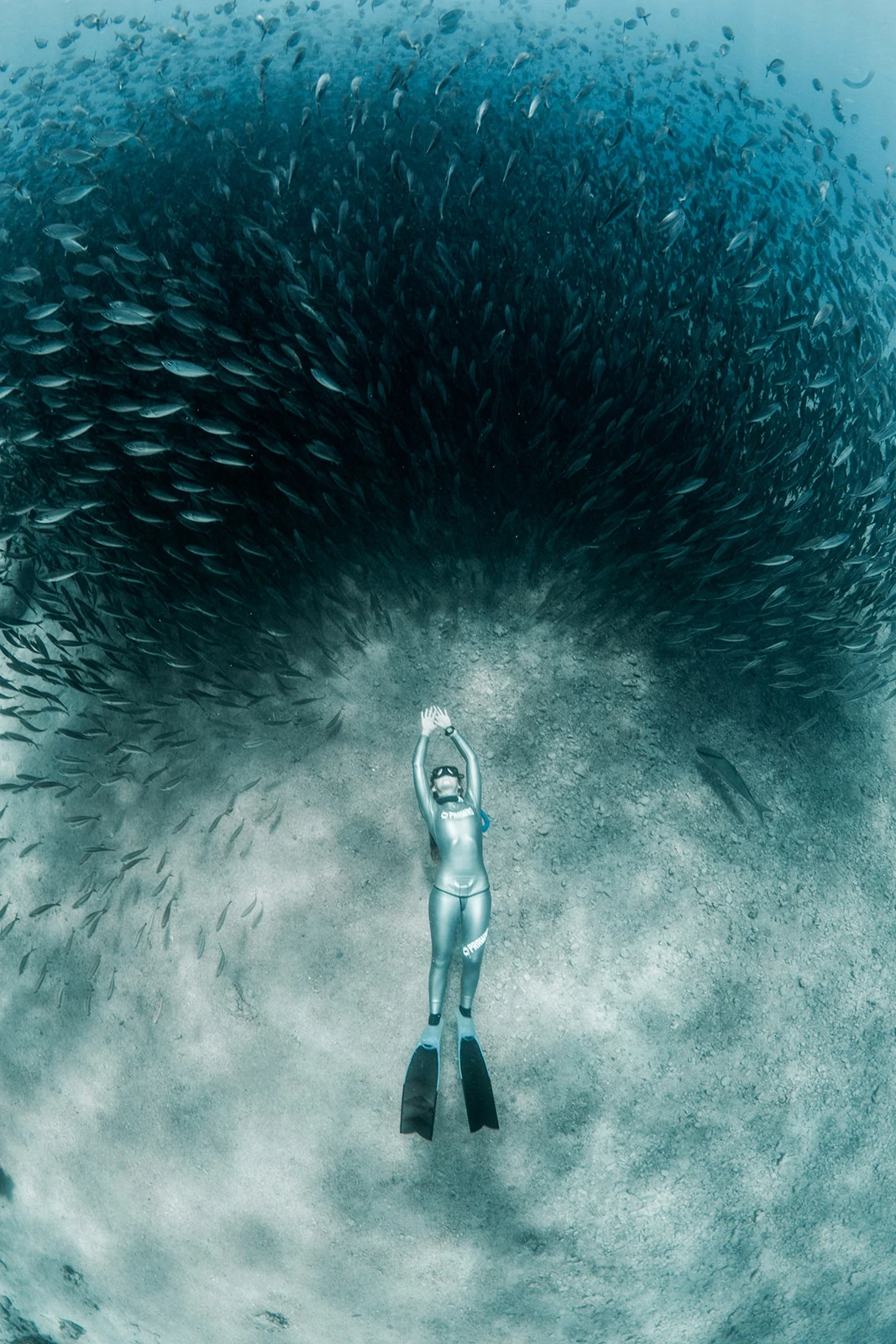 10 Underwater Freediving Pictures by Lia Barrett 7 lia barrett 7