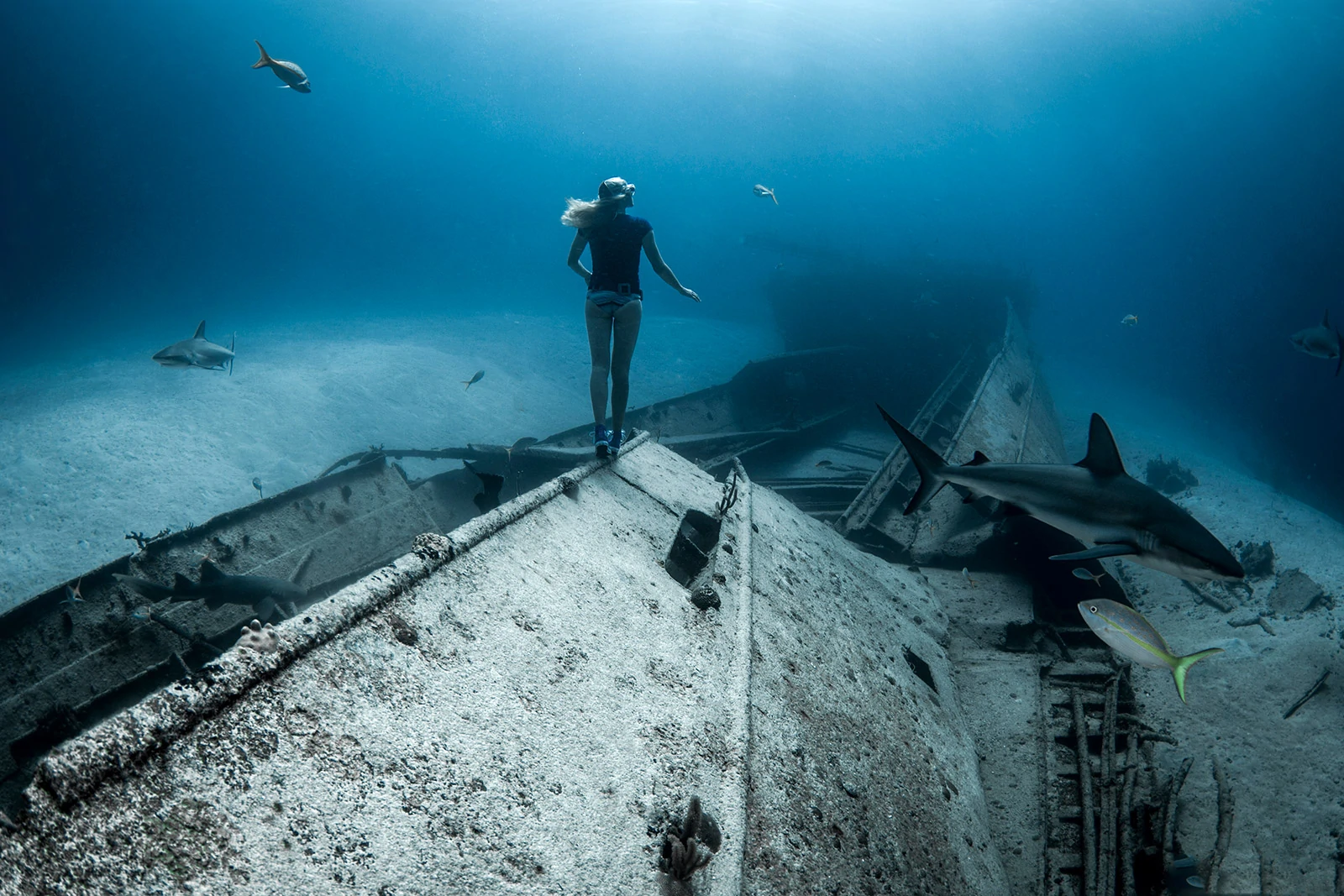 10 Underwater Freediving Pictures by Lia Barrett 9 lia barrett 9