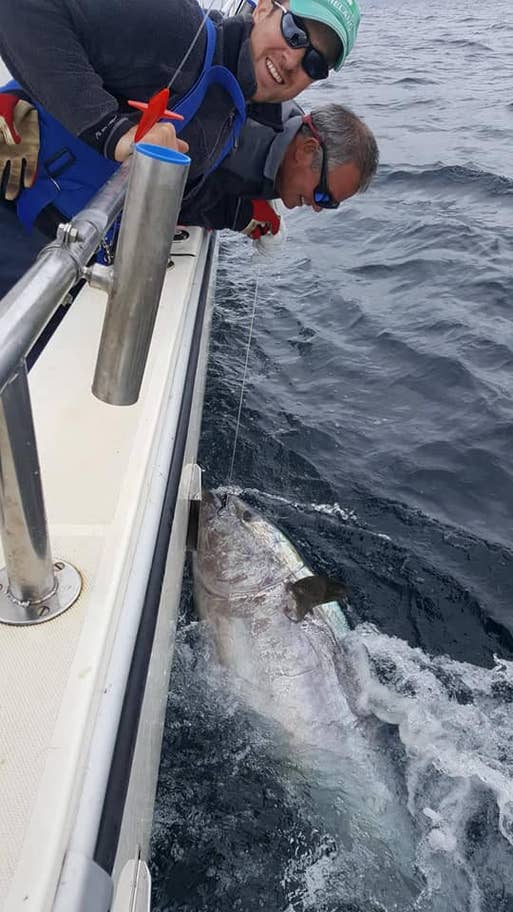 Bluefin tuna by Dave Edwards of West Cork Charters