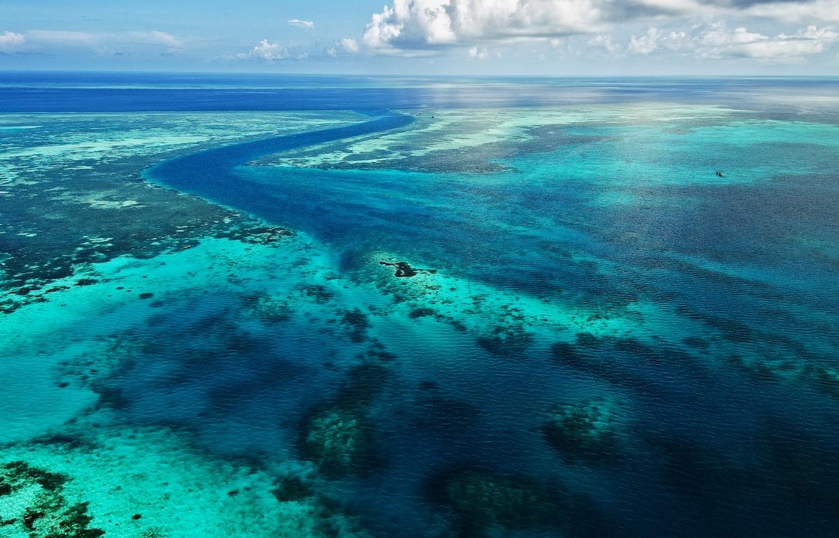 Wakatobi reefs