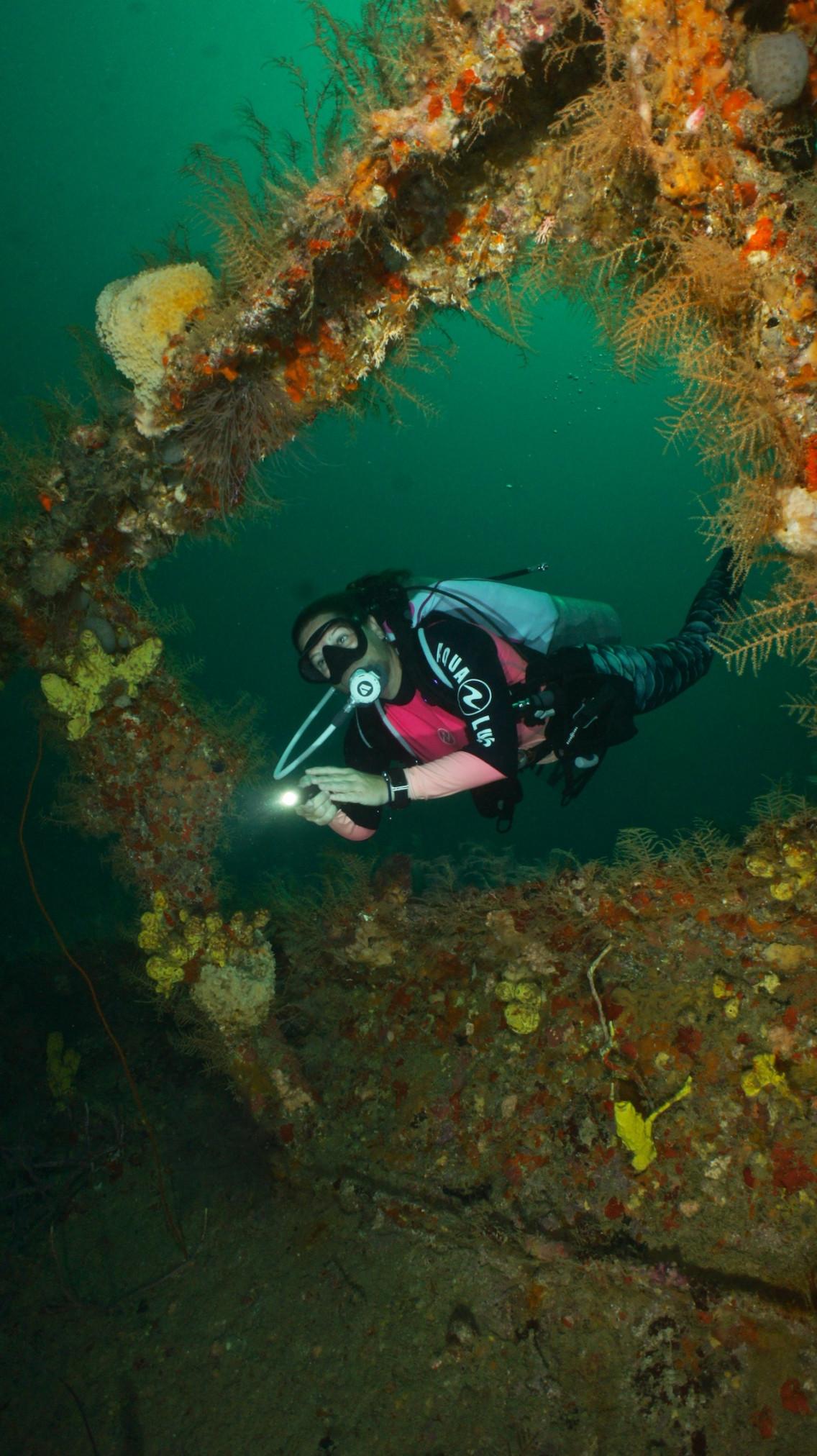 grenada dive fest 2