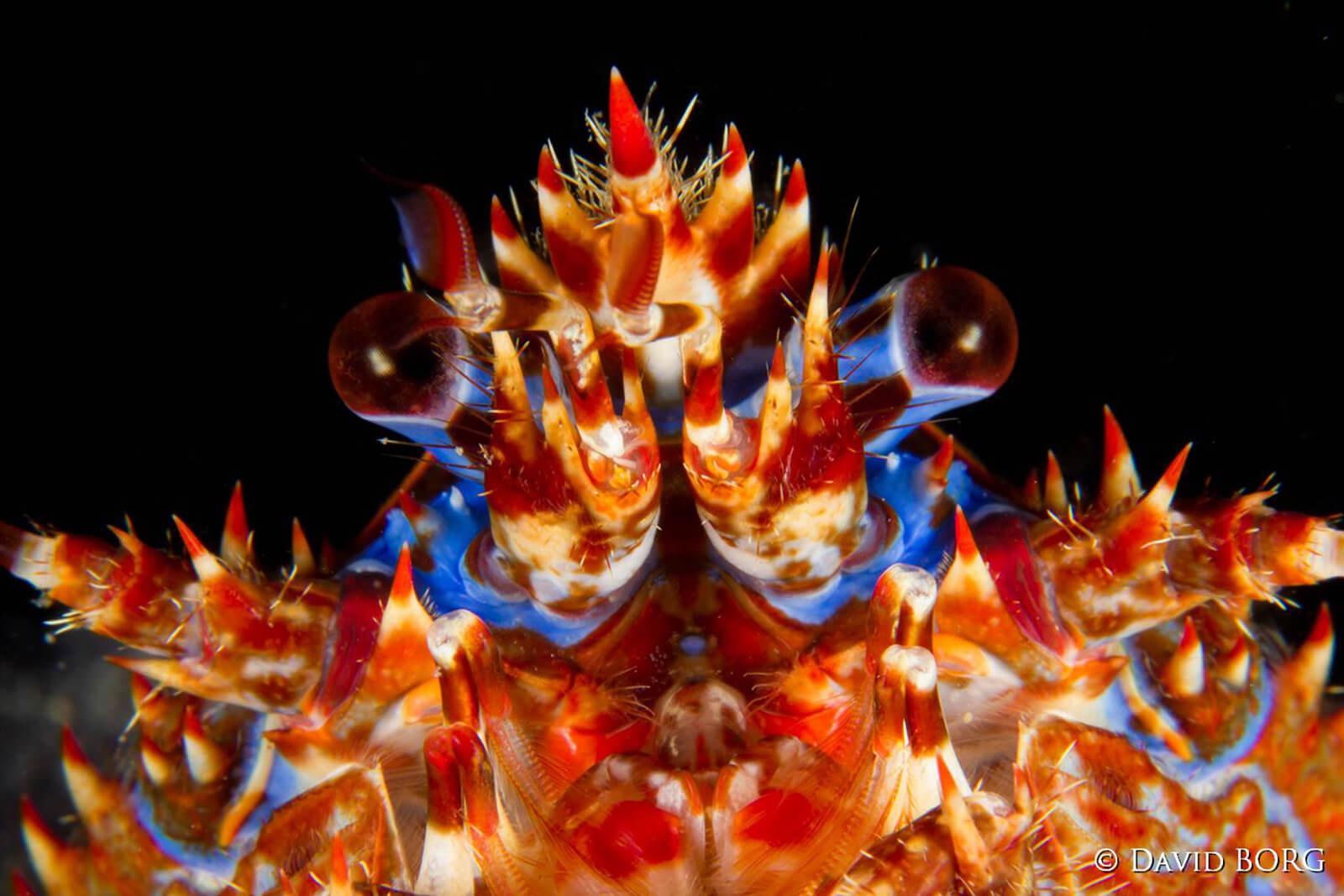 marine biologist 2