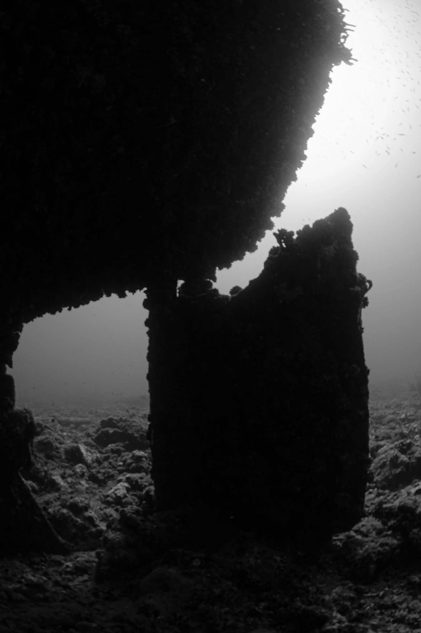 black-and-white shot of the Veronica L shipwreck