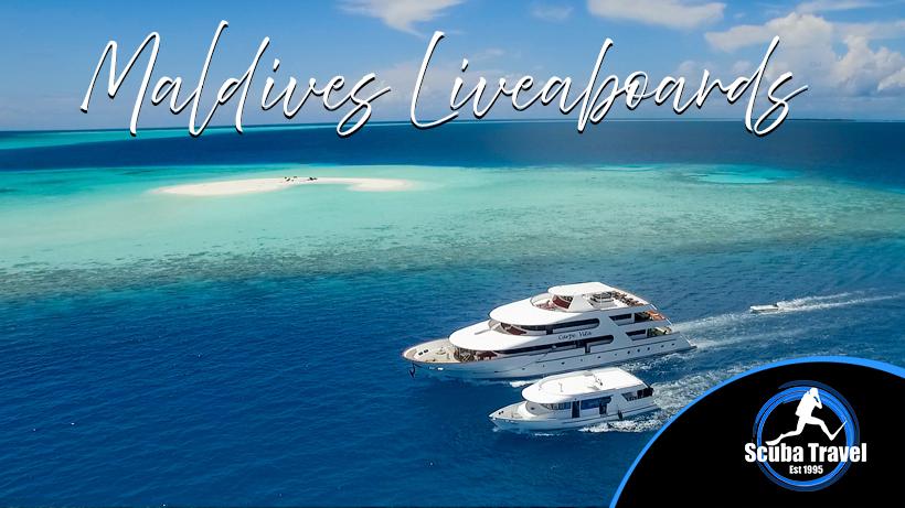 Scuba Travel, Maldives, Liveaboards, Dive Show specials