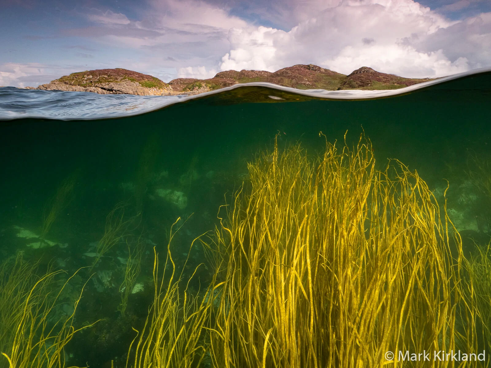 Mark Kirkland - Underwater Photographer 8 Mark Kirkland 8