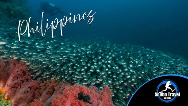 Scuba Travel, Philippines, Dive Shoe Specials