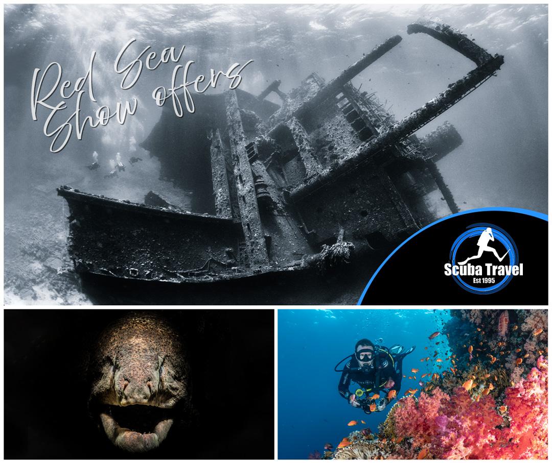 Scuba Travel, Dive Show Offers, Egypt, Liveaboards