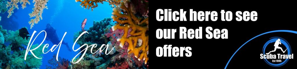 Red Sea Dive Show specials 1 Scuba Travel, Red Sea, Liveaboards, last Minute
