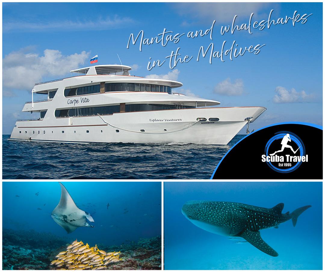 Scuba Travel, Maldives, CArpe Vita