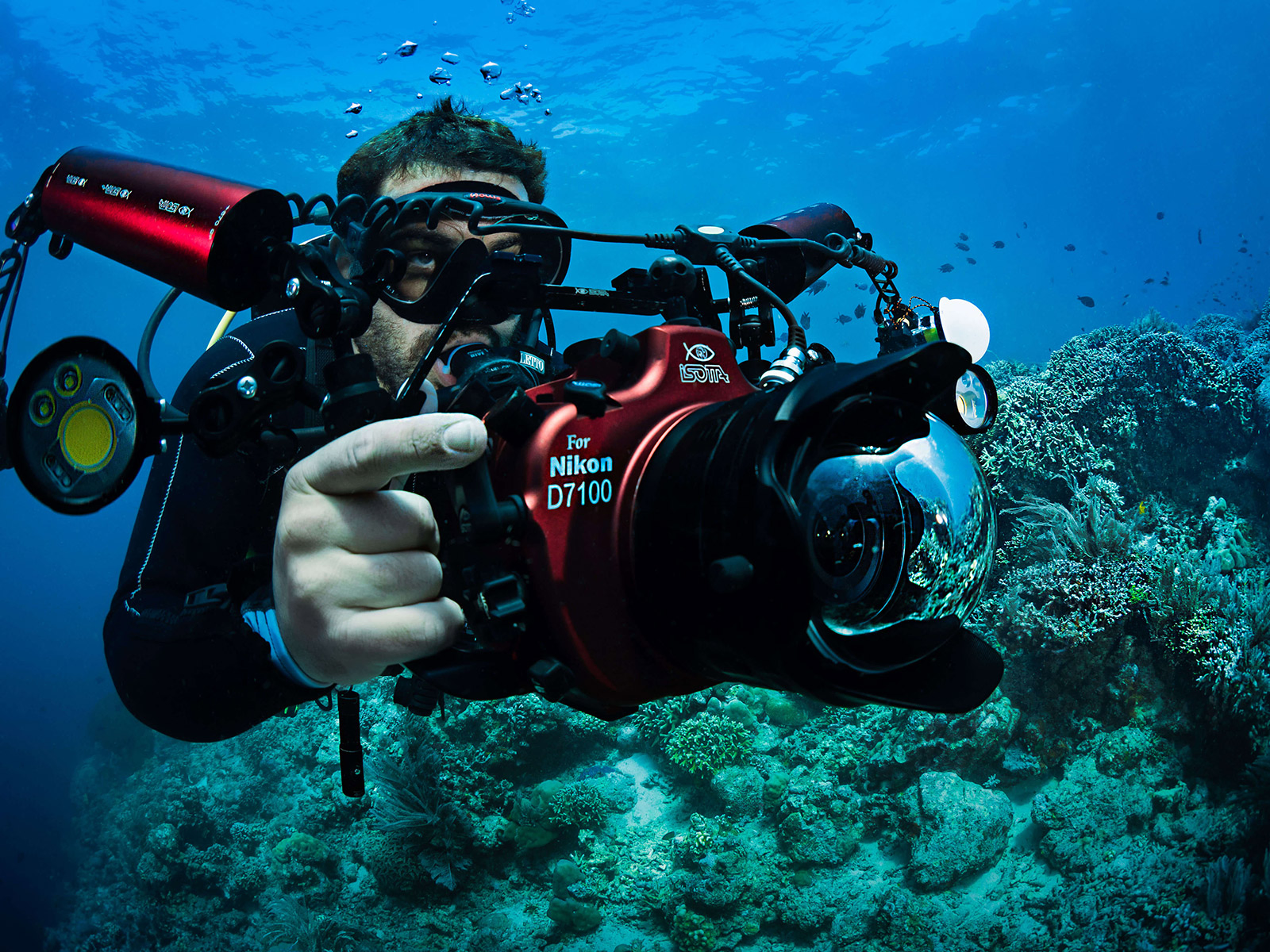 Underwater Photography by Simon Lorenz 11 Simon lorenz